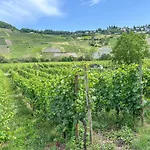 Hermes-lex Weingut Διαμέρισμα Trittenheim