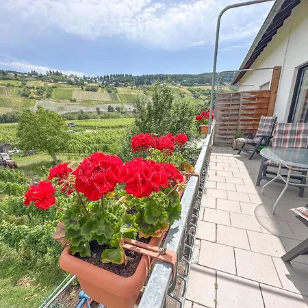 アパート Hermes-lex Weingut トリッテンハイム