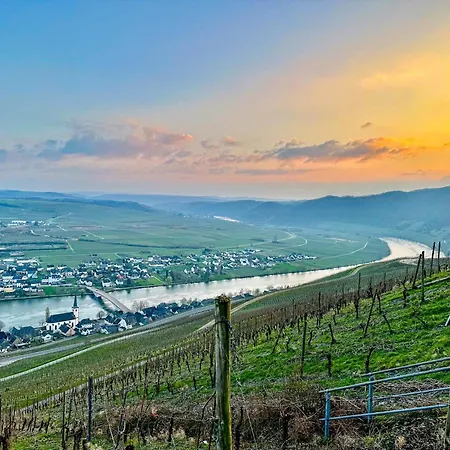 Hermes-lex Weingut * トリッテンハイム