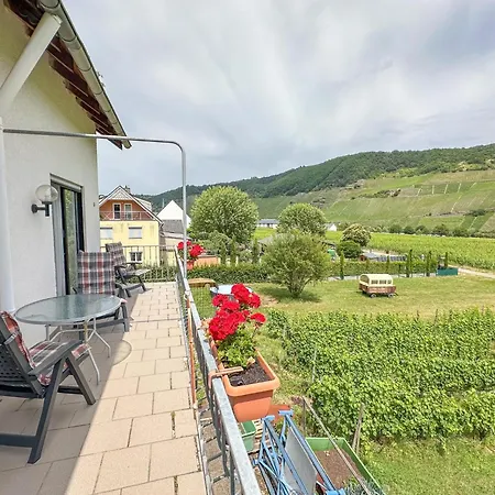 Hermes-lex Weingut 公寓