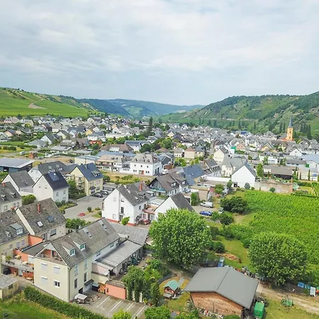 Apartment Hermes-lex Weingut Trittenheim