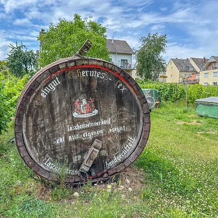 公寓 Hermes-lex Weingut