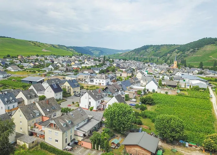 Apartment Hermes-lex Weingut Trittenheim